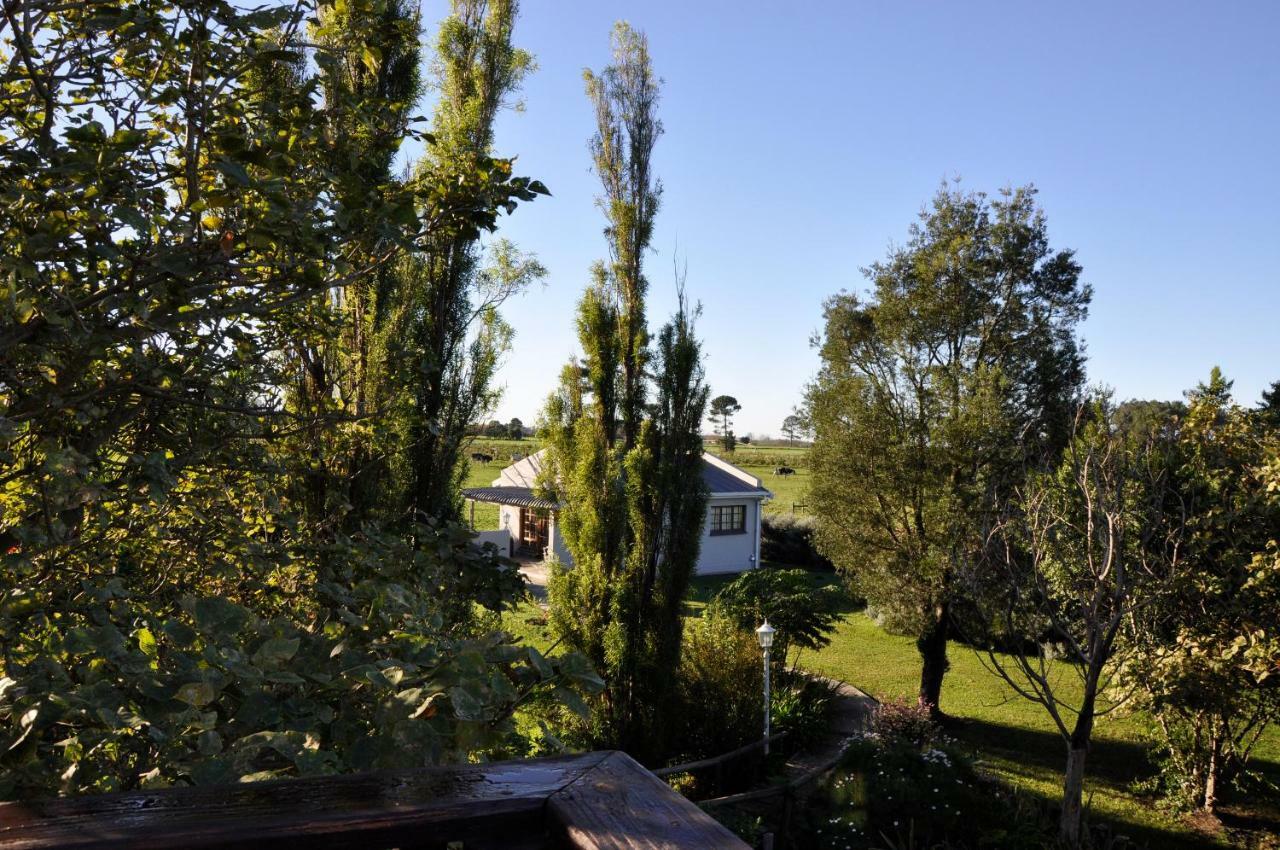 Tsitsikamma Gardens Cottages Self-Catering Cottages Sanddrif Exterior photo